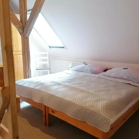 Boddenhus Auf Ruegen - Ferienwohnungen Und Pension Rappin Exterior photo