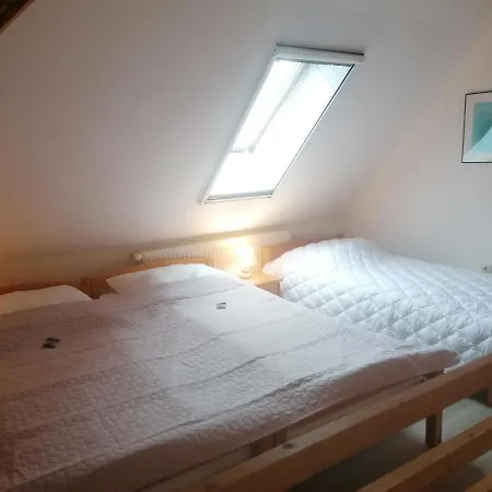 Boddenhus Auf Ruegen - Ferienwohnungen Und Pension Rappin Exterior photo
