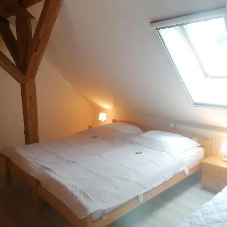 Boddenhus Auf Ruegen - Ferienwohnungen Und Pension Rappin Exterior photo