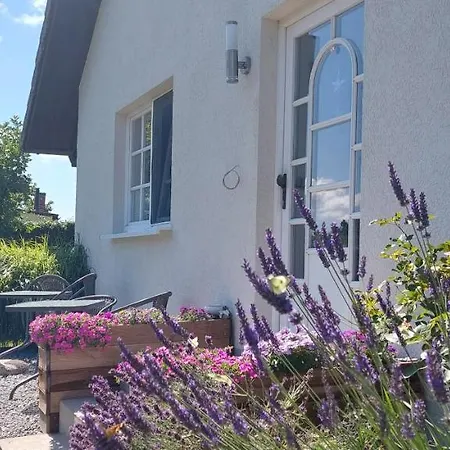 Boddenhus Auf Ruegen - Ferienwohnungen Und Pension Rappin Exterior photo