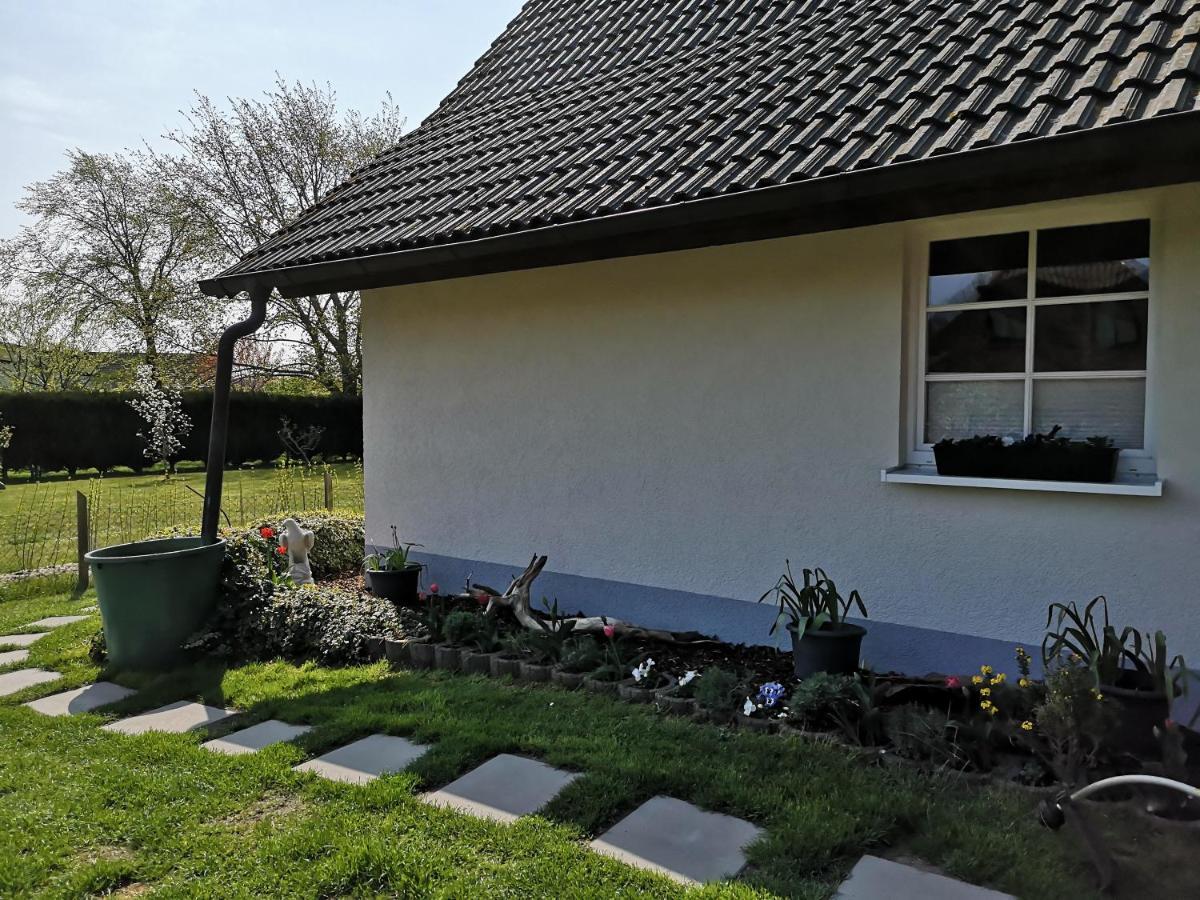 Boddenhus Auf Ruegen - Und Appartement *